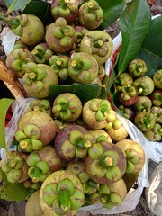 fruit at the market,Mangosteen, a sweet, purple fruit from a Thai garden.
