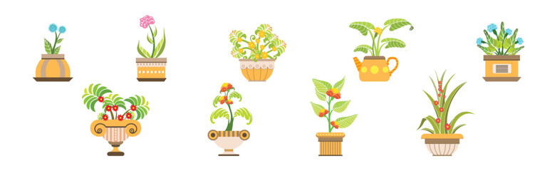 Flower and Houseplant Growing in Pot Vector Set