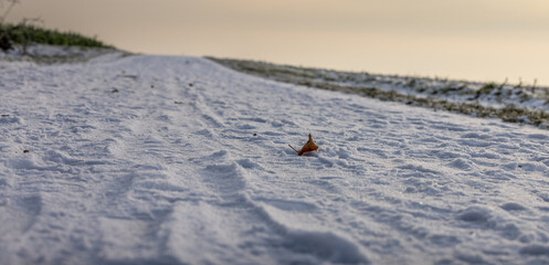 Im Garten und der Natur: Fotospaziergang im Dezember 2022 © Roland