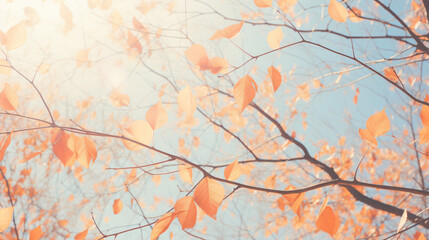 Obraz na płótnie Canvas Falling autumn leaves