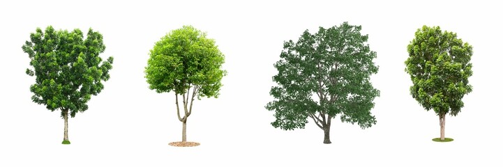 Fototapeta na wymiar set of green trees isolated on a white background.