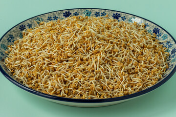 Fresh sprouted fenugreek (methi) seeds on plate.