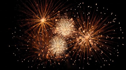 Beautiful bright festive fireworks on the background of the black sky at night.