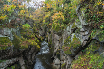 日本　宮城県仙台市太白区を流れる名取川と奇岩が並ぶ峡谷、磊々峡の紅葉