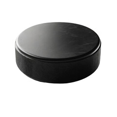 Professional Hockey Puck Isolated on White, Standard Equipment for Ice Sports
