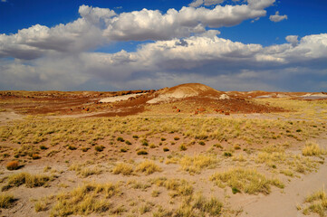 Rugged and Desolate Landscape Petrified Forest Arizona