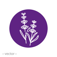 herbal aroma supplement icon, lavender flower, essential component for spa or cosmetics, flat symbol on white background - vector illustration