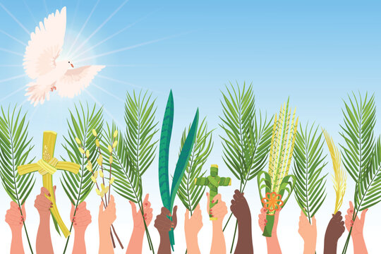 Palm Sunday celebrations. Hands of people of different nationalities are raised with palm branches, sansevieria and a cross. White dove in the sky, the embodiment of the holy spirit. Vector. Cartoon.