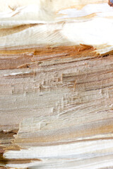 texture of a broken tree without part of the bark where you can see the structure of the trunk and wood fibers close-up