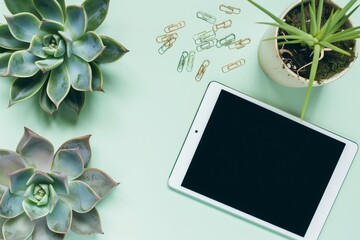 frame between succulents, tablet, paper clips on bright, minimalist desk