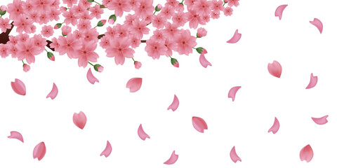 花びらが舞う背景素材　桜のイラスト