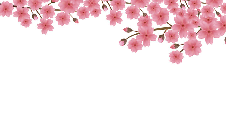 花びらが舞う背景素材　桜のイラスト