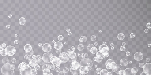 Bubble. Air bubbles over water on a transparent background. - obrazy, fototapety, plakaty