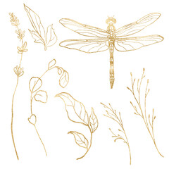 Watercolor line art set of wild meadow herbs and dragonfly. Hand painted gold plants and animal elements isolated on white background. Outdoor illustration for design, print, fabric or background. - 729317579