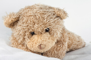 Teddy Bear sleeps in bed