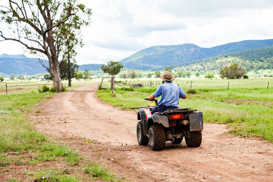 Farmer riding quad bike down farm driveway over cattle grid