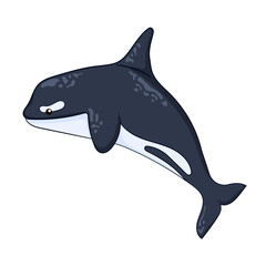 Cartoon art character killer whale, orca. Cute undersea animal for children book. Vector illustration isolated on a white background.