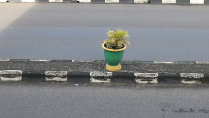 Flower plants in pots on the side of the road near the pedestrian path add to the natural and...