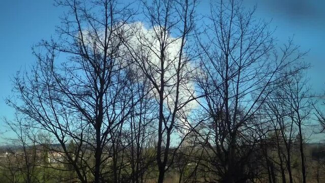 Steam cloud from a chimey of a nuclear power plant