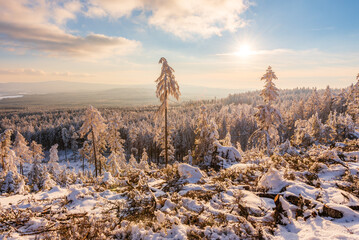 Forest of CHKO Brdy covered in snow near summit Praha in winter.