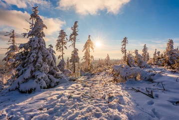 Papier Peint photo autocollant Prague Forest of CHKO Brdy covered in snow near summit Praha in winter.