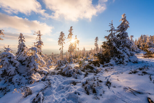 Forest of CHKO Brdy covered in snow near summit Praha in winter.