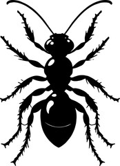 Ant black and white icon isolated on white background

