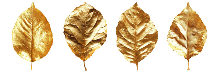 Golden leaf isolated on transparent background
