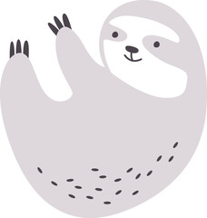 Sloth Tropical Animal