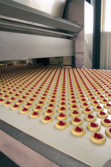 Production cookies in factory - 729337935