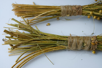 Flax stalks are tied with natural flax fiber. Dry bouquet.