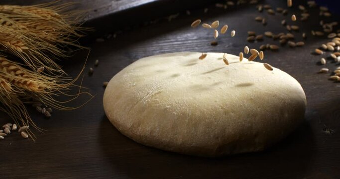 Super slow motion macro of wheat grain seeds are falling on raw loaf of dough while making homemade bread, pasta or pizza on rustic wooden table in traditional bakery kitchen.