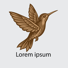 Humming bird flying logo vector design