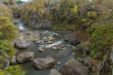 Naklejka na ściany i meble 日本　宮城県仙台市太白区を流れる名取川と奇岩が並ぶ峡谷、磊々峡の紅葉