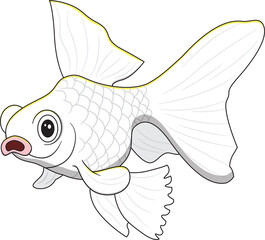 White goldfish are so charming