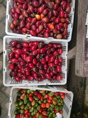 Dutch eggplant or Dutch eggplant (Solanum betaceum) is a type of plant belonging to the eggplant family (Solanaceae) originating from America.