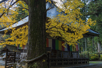 日本　宮城県仙台市太白区秋保町の秋保大滝近くにある秋保大滝不動尊（滝本山西光寺）と紅葉