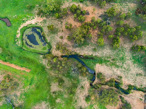 Watercourse and dam with green water weed and grass growing
