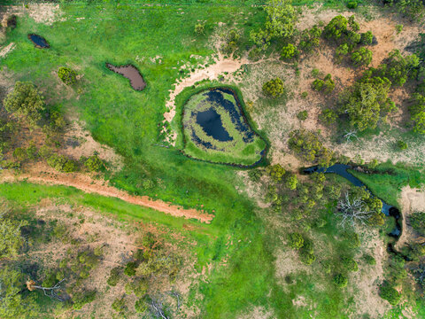 Watercourse and dam with green water weed and grass growing