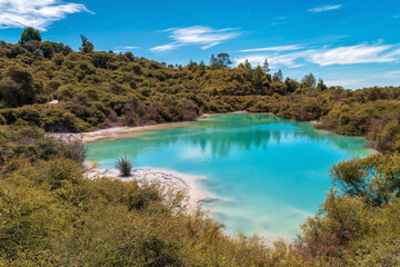 Breathtaking view of the azure hot water pond in Whakarewarewa Thermal Reserve, Rotorua, New Zealand. Capturing the natural beauty of geothermal wonders, ideal for travel brochures, wellness concepts.