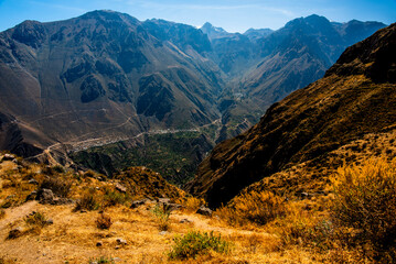 2023 8 16 Peru canyon del Colca 16