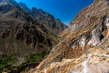 2023 8 16 Peru canyon del Colca 24