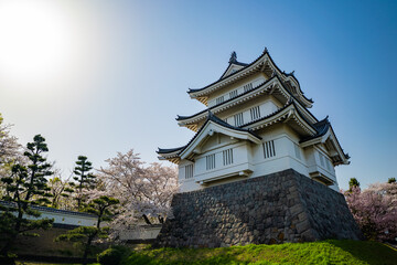 忍城の桜