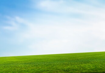 Fototapeta na wymiar Landscape view with green grass and blue sky