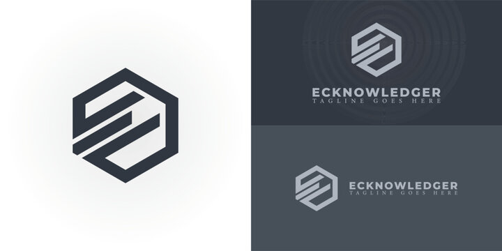 Abstract initial letter EO or OE logo in grey color isolated in white and grey backgrounds applied for e-knowledge service logo also suitable for the brands or companies have initial name OE or EO.