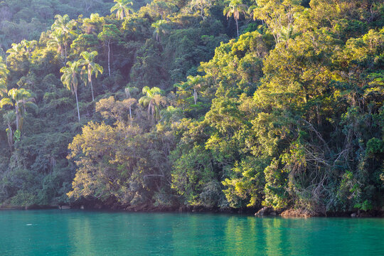 The green sea of Angra dos Reis meets the mountains of tropical vegetation during the afternoon with sun rays illuminating the scene