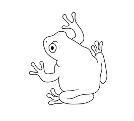 Vector isolated one single frog toad colorless black and white contour line easy drawing