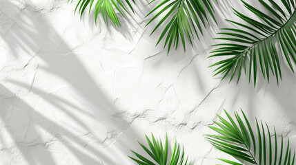 Mock up with natural soft shadow from palm leaves for product presentation or showcase on stone textured background