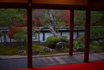 奈良の正暦寺で紅葉