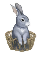 Hand drawn watercolor illustration. Grey rabbit on white background.